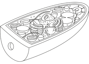 0900v8pf-8d89-312x223.png