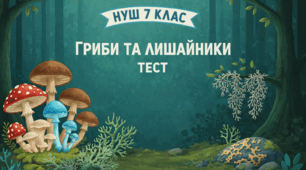 Особливості грибів і лишайників. Місце грибів і лишайників в екосистемах, їхня роль у житті людства