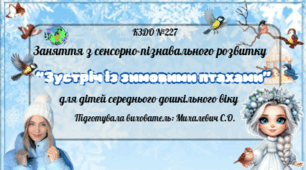 Заняття з сенсорно-пізнавального розвитку для дітей середнього дошкільного віку на тему: “Зустріч із зимовими птахами”