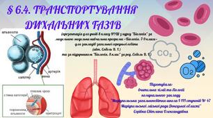 § 6.4. ТРАНСПОРТУВАННЯ ДИХАЛЬНИХ ГАЗІВ