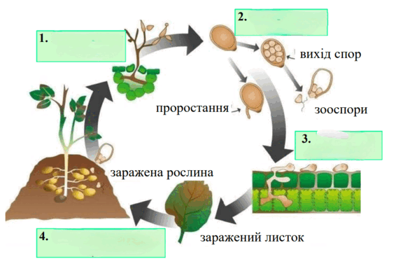 0900vb8t-c507-576x377.png