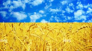 8 травня в Україні відзначають День пам'яті та перемоги над нацизмом у Другій світовій війні 1939–1945 років