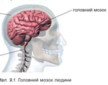 0900vd2i-3d50-220x175.png