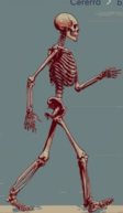 0900vd2m-8eef-112x193.png
