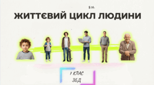 "Життєвий цикл людини" (7 клас. ЗБД. §16)
