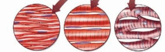 0900vel4-16f0-324x103.png