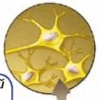 0900velx-3652-103x100.png