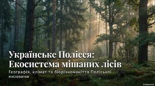 Українське Полісся. Екосистема мішаних лісів