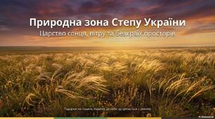 Природна зона. Степ.