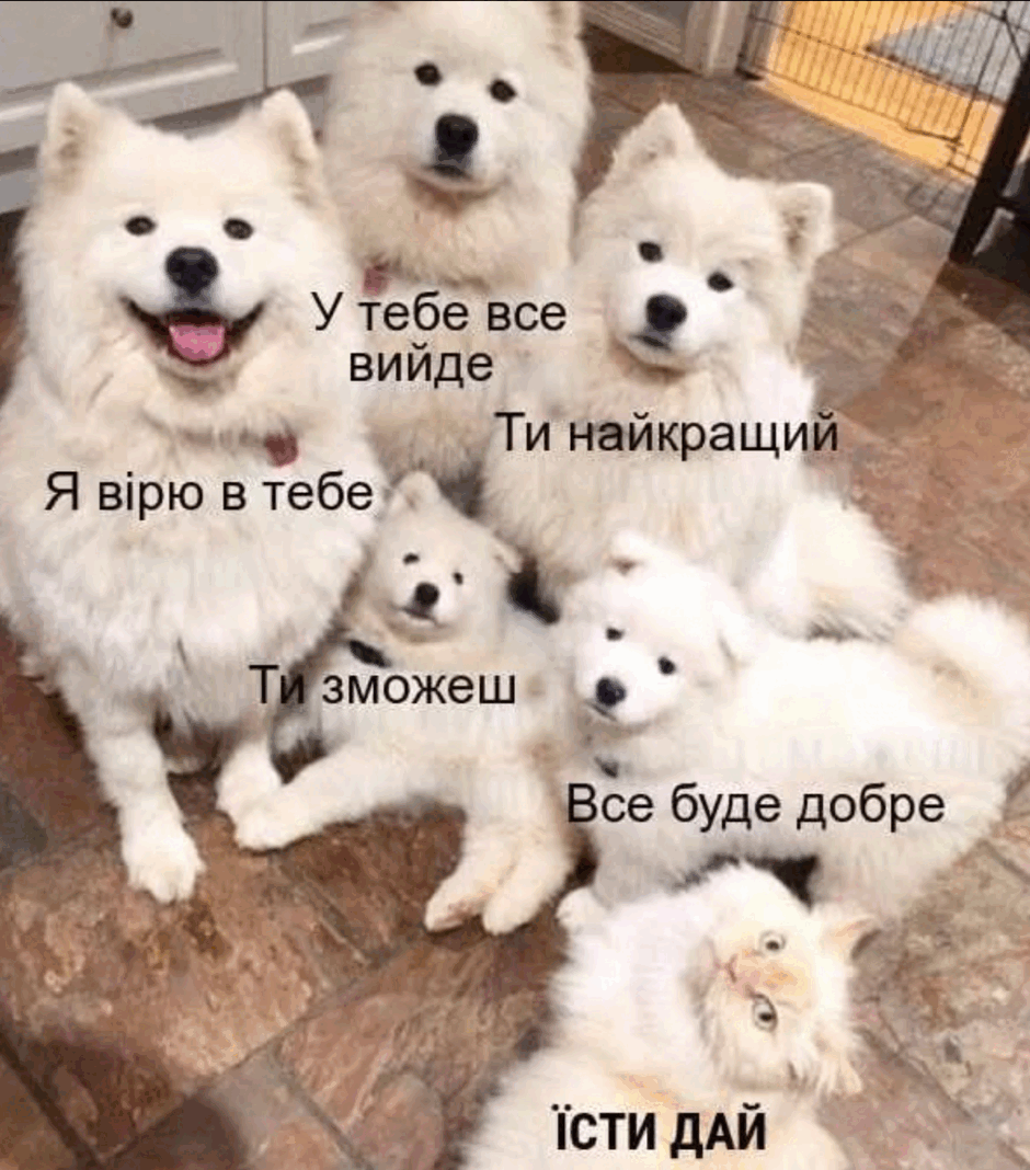 0900vev4-954c-940x1068.png
