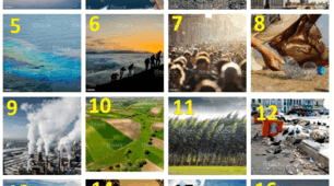 Mysterious in nature "Prepare 6" НУШ