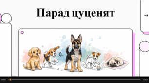 Відеоогляд "Парад цуценят»"