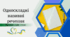 Односкладні називні речення