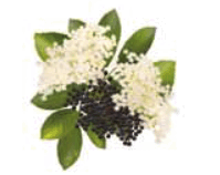 0900vg2f-075d-199x158.png