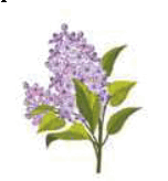 0900vg2j-2d8d-152x164.png