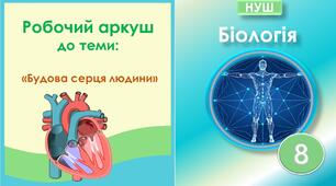 Робочий аркуш до теми “Система кровообігу. Будова серця людини”. Біологія 8 клас НУШ