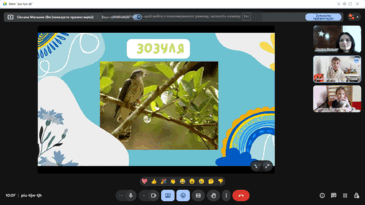 0900vhuc-4ea4-365x205.png