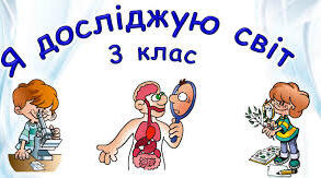 Яку будову має наше тіло 