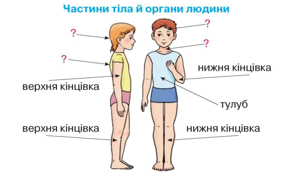 0900vic3-bcda-940x582.png