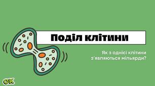 Поділ клітини. 9 клас (НУШ, компетентнісний підхід)
