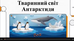 Відеоогляд "Тваринний світ Антарктиди"