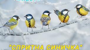 Гімнастика для очей "Спритна синичка"
