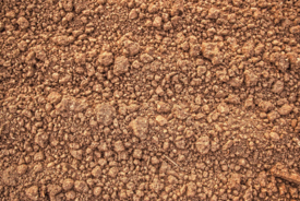 0900vkw7-3e0f-275x184.png