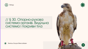 Презентація " Опорно-рухова система органів. Видільна система і покриви тіла"