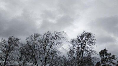 0900vp98-9962-400x225.jpg