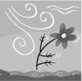 0900vqc4-8a21-118x117.png
