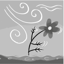 0900vqc4-8a21-256x253.png
