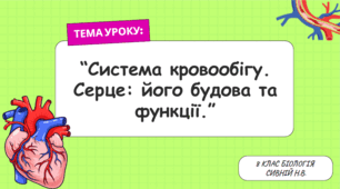 "Система кровообігу. Серце: його будова та функції" (8 клас)НУШ