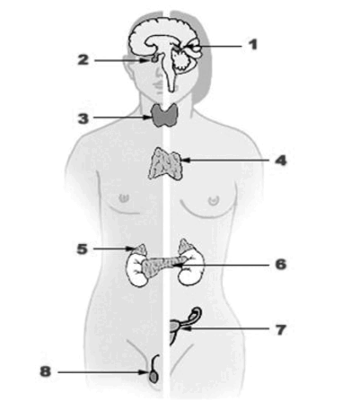 0900vwcr-7e24-401x457.png