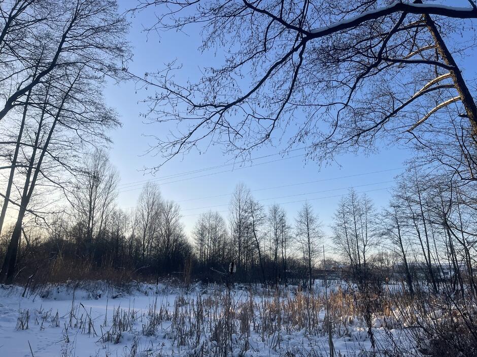 0900vwiz-32c0-940x705.jpg