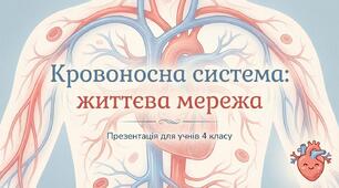 Яке значення має кровоносна система. ЯДС 3 клас