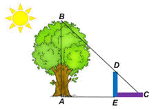 0900w02f-86c2-226x159.png