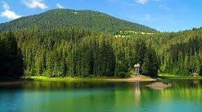 Озера та штучні водойми України. Болота