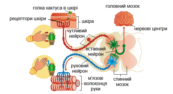 0900w3fh-5d47-585x317.png
