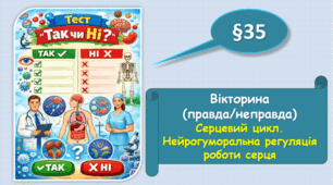 Вікторина "Правда/Неправда". Серцевий цикл. Нейрогуморальна регуляція роботи серця