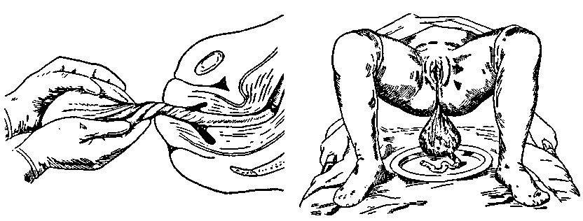 0900weny-f247-832x316.png