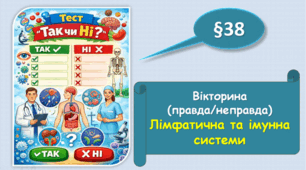Вікторина "Правда/Неправда".Лімфатична та імунна системи