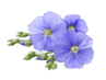 0900wixu-b7f3-97x73.png