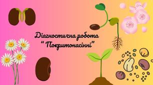 Діагностична робота " Покритонасінні"