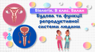 Будова та функції репродуктивної системи людини. 8 клас НУШ.