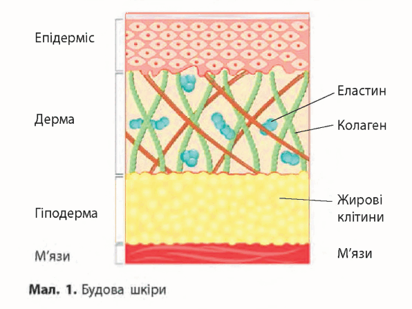 0900wqqa-bec8-596x447.png