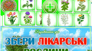 Дидактична гра "Збери лікарські рослини"