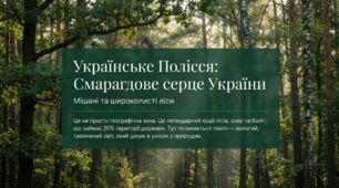 Природні зони України мішаних і широколистих лісів.