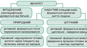 39. Конспект уроку. Імунітет та його види. Вакцини та сироватки. Імунодефіцит та імунокорекція.