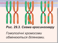 0900wz2j-366d-199x148.png
