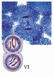 0900wzbx-0729-110x158.png